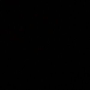 Meet your Posher, Karli